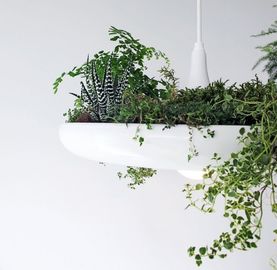 Sky Garden treo ánh sáng Mặt dây Nhà trồng treo chiếu sáng treo