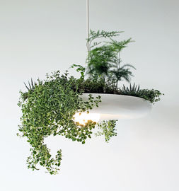 Sky Garden treo ánh sáng Mặt dây Nhà trồng treo chiếu sáng treo