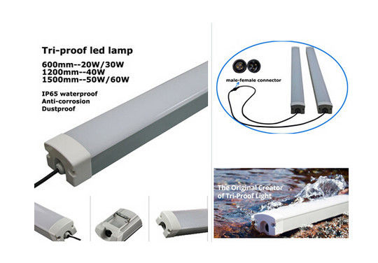 4 chân ánh sáng IP65 chống thấm nước LED fixture, IP65, PC Nhà ở + PC Che + kim loại PCB, 20W